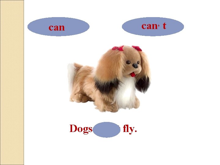 can, t can Dogs can, t fly. 