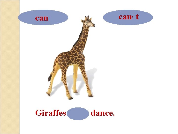 can Giraffes can, t dance. can, t 