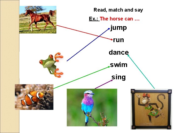 Read, match and say Ex. : The horse can … jump run dance swim