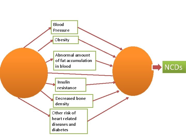 Blood Pressure Obesity Abnormal amount of fat accumulation in blood Insulin resistance Decreased bone