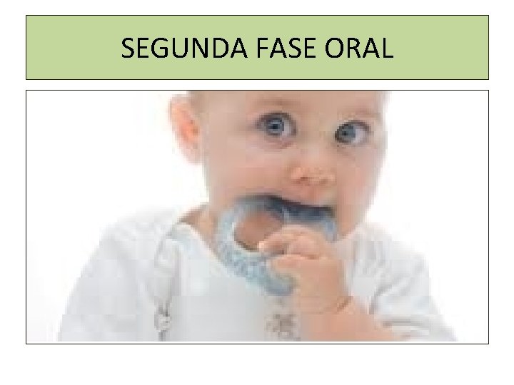 SEGUNDA FASE ORAL 