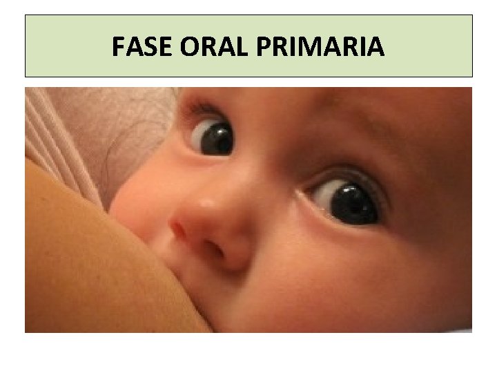 FASE ORAL PRIMARIA 