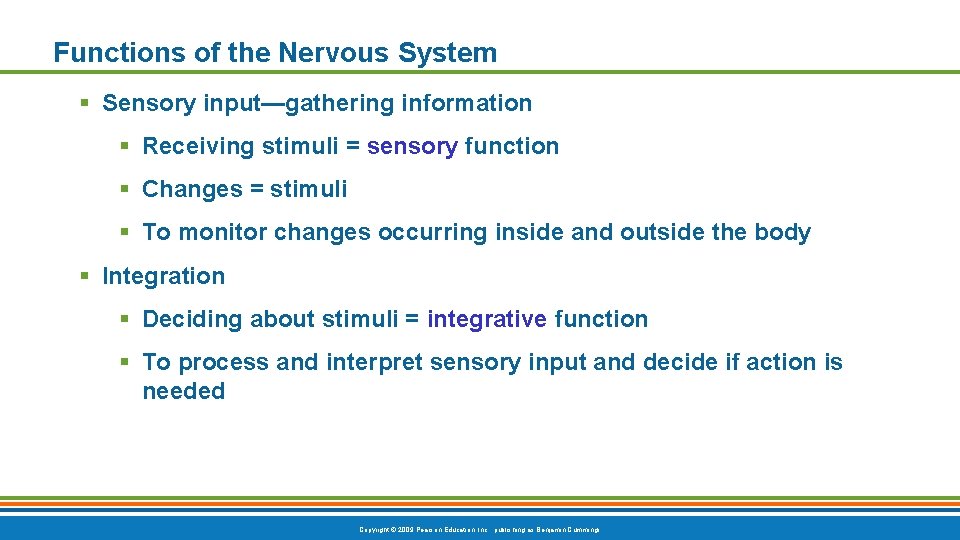 Functions of the Nervous System § Sensory input—gathering information § Receiving stimuli = sensory Functions of the Nervous System § Sensory input—gathering information § Receiving stimuli = sensory