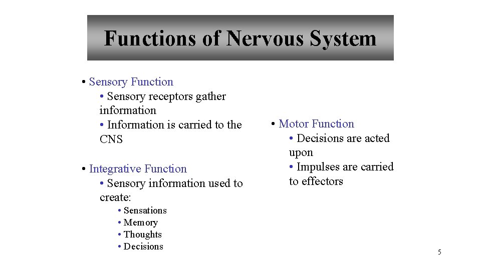 Functions of Nervous System • Sensory Function • Sensory receptors gather information • Information Functions of Nervous System • Sensory Function • Sensory receptors gather information • Information