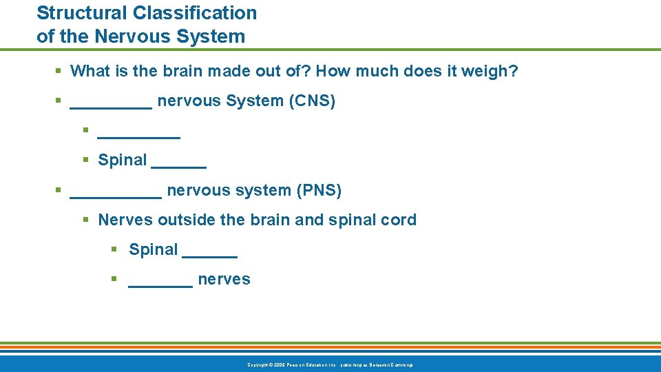 Structural Classification of the Nervous System § What is the brain made out of? Structural Classification of the Nervous System § What is the brain made out of?