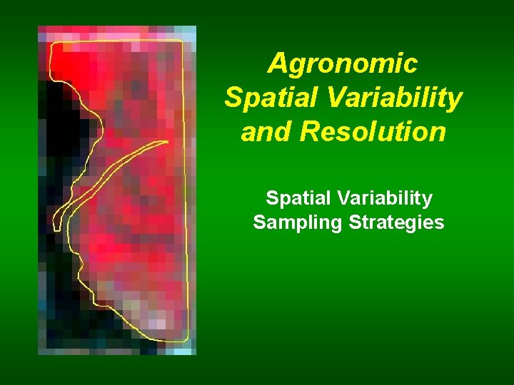 Agronomic Spatial Variability and Resolution Spatial Variability Sampling Strategies 