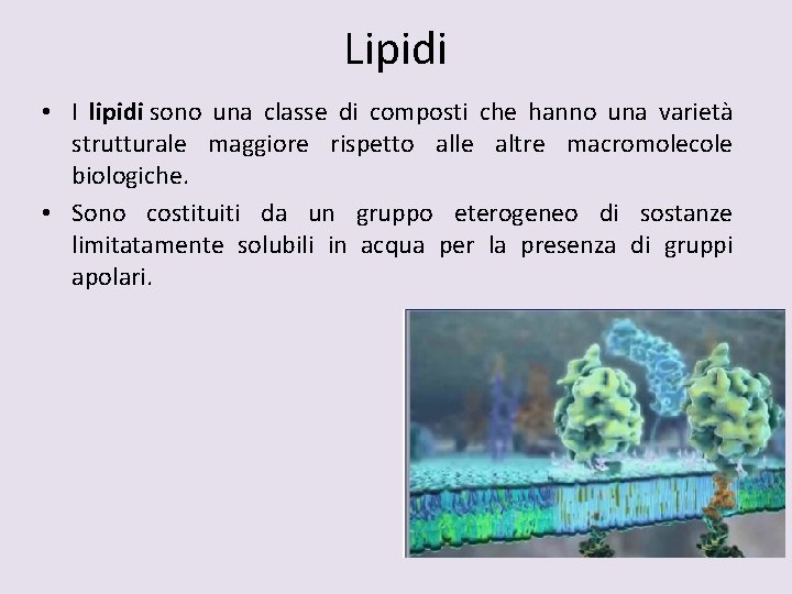 Lipidi • I lipidi sono una classe di composti che hanno una varietà strutturale