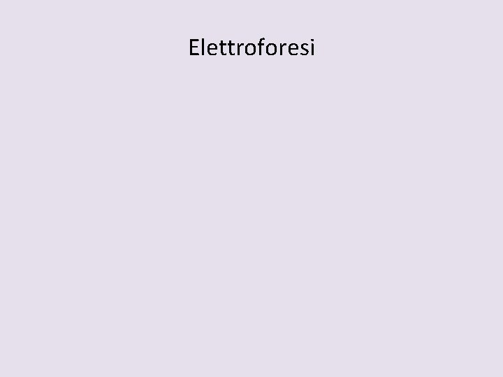Elettroforesi 