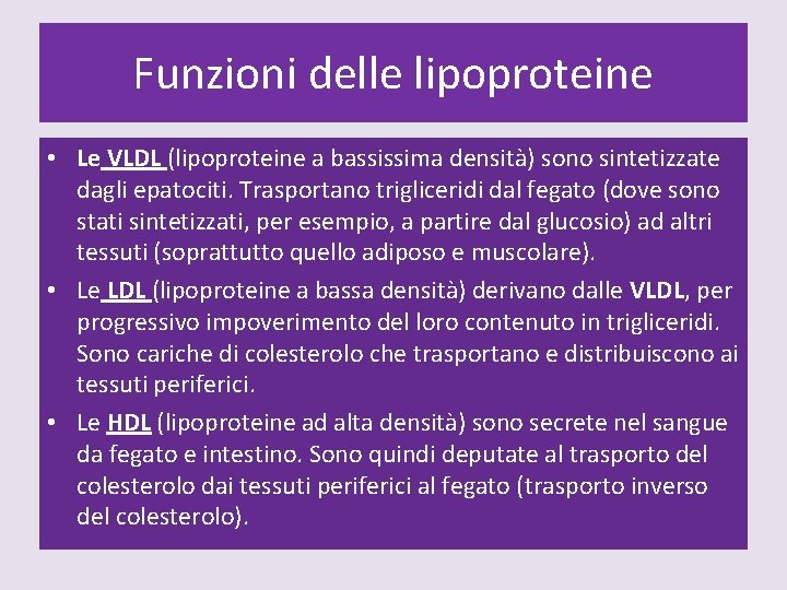 Funzioni delle lipoproteine • Le VLDL (lipoproteine a bassissima densità) sono sintetizzate dagli epatociti.