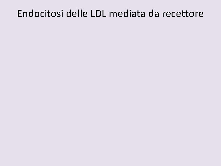 Endocitosi delle LDL mediata da recettore 