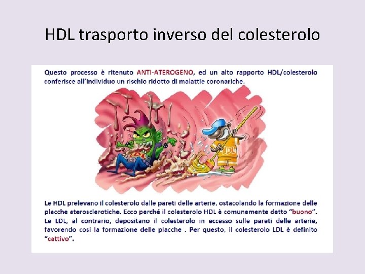 HDL trasporto inverso del colesterolo 