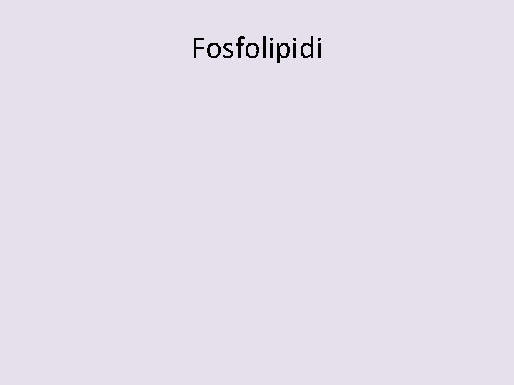 Fosfolipidi 
