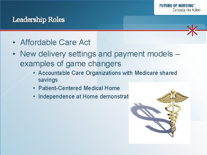 Leadership Roles • Affordable Care Act • New delivery settings and payment models –