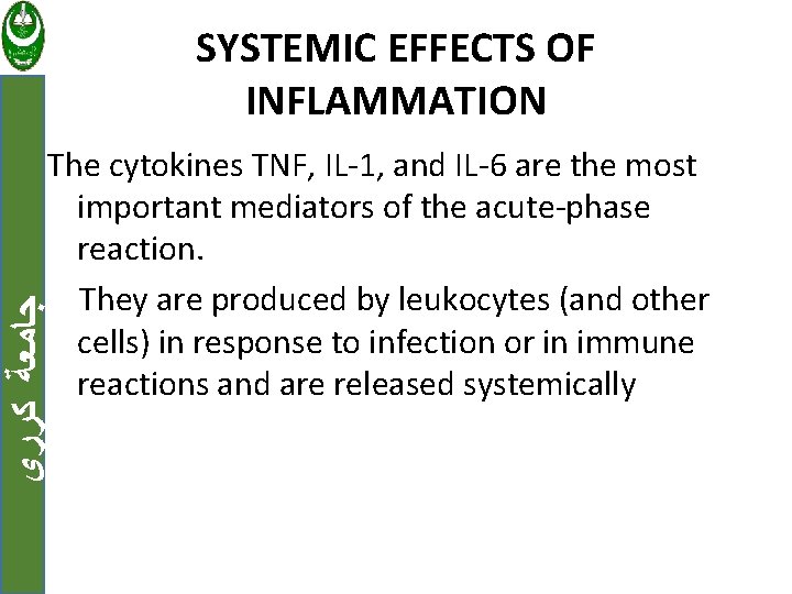 SYSTEMIC EFFECTS OF INFLAMMATION ﺟﺎﻣﻌﺔ ﻛﺮﺭﻱ The cytokines TNF, IL-1, and IL-6 are the