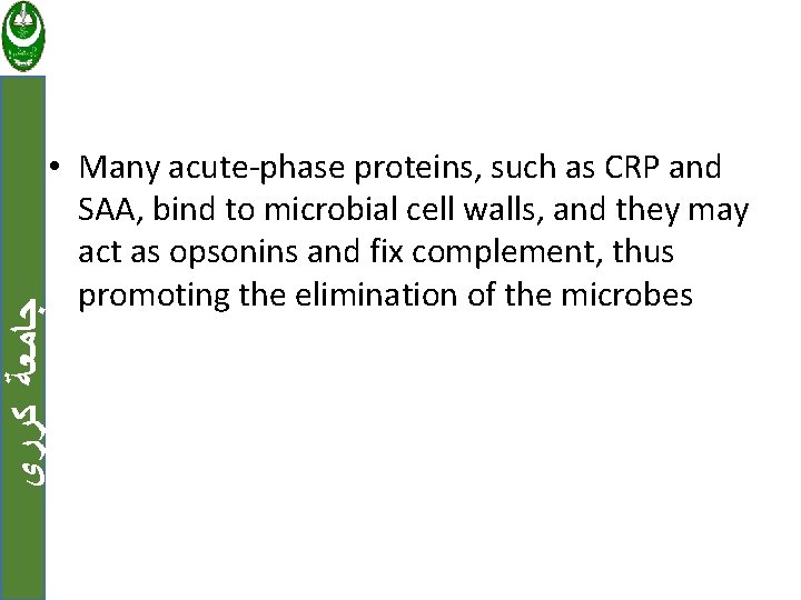  ﺟﺎﻣﻌﺔ ﻛﺮﺭﻱ • Many acute-phase proteins, such as CRP and SAA, bind to