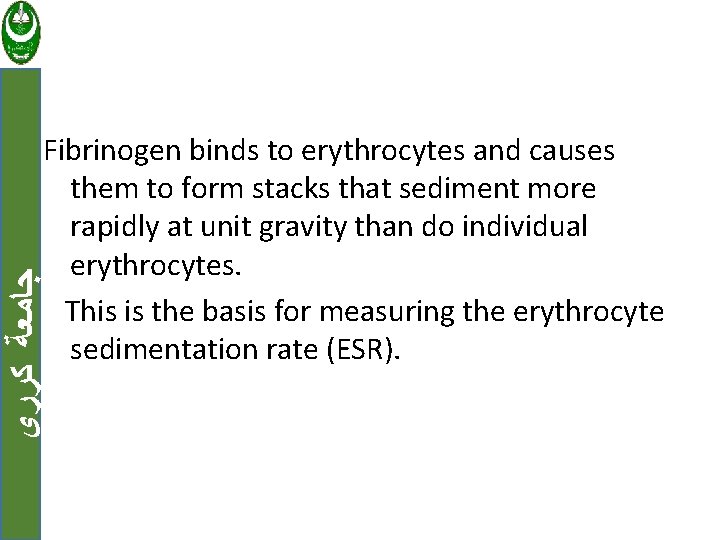  ﺟﺎﻣﻌﺔ ﻛﺮﺭﻱ Fibrinogen binds to erythrocytes and causes them to form stacks that
