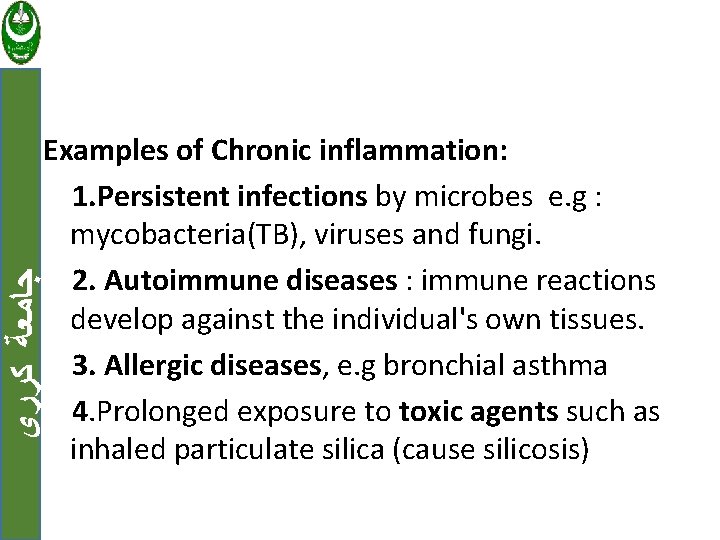  ﺟﺎﻣﻌﺔ ﻛﺮﺭﻱ Examples of Chronic inflammation: 1. Persistent infections by microbes e. g