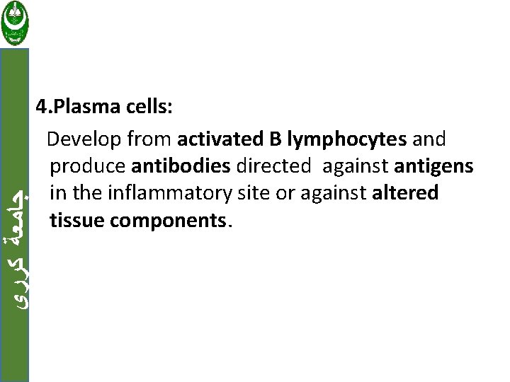  ﺟﺎﻣﻌﺔ ﻛﺮﺭﻱ 4. Plasma cells: Develop from activated B lymphocytes and produce antibodies