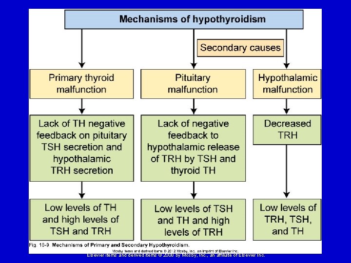 Elsevier items and derived items © 2008 by Mosby, Inc. , an affiliate of
