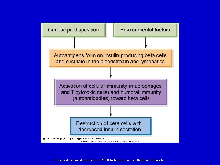 Elsevier items and derived items © 2008 by Mosby, Inc. , an affiliate of