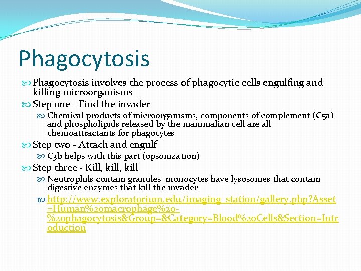 Phagocytosis involves the process of phagocytic cells engulfing and killing microorganisms Step one -