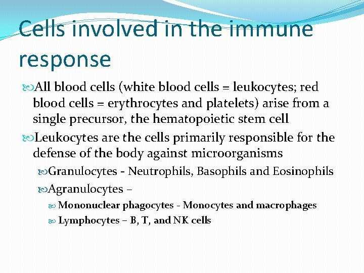 Cells involved in the immune response All blood cells (white blood cells = leukocytes;