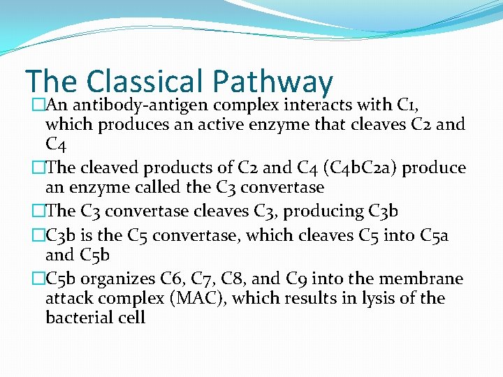 The Classical Pathway �An antibody-antigen complex interacts with C 1, which produces an active