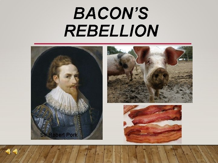 BACON’S REBELLION Sir Robert Pork 