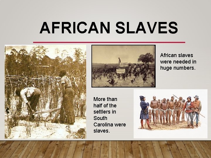 AFRICAN SLAVES African slaves were needed in huge numbers. More than half of the