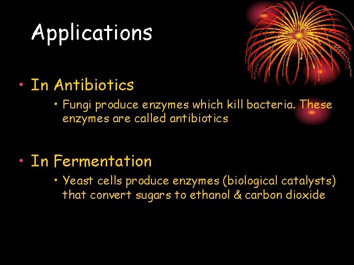 Applications • In Antibiotics • Fungi produce enzymes which kill bacteria. These enzymes are