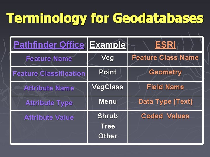 Terminology for Geodatabases Pathfinder Office Example ESRI Feature Name Veg Feature Class Name Feature