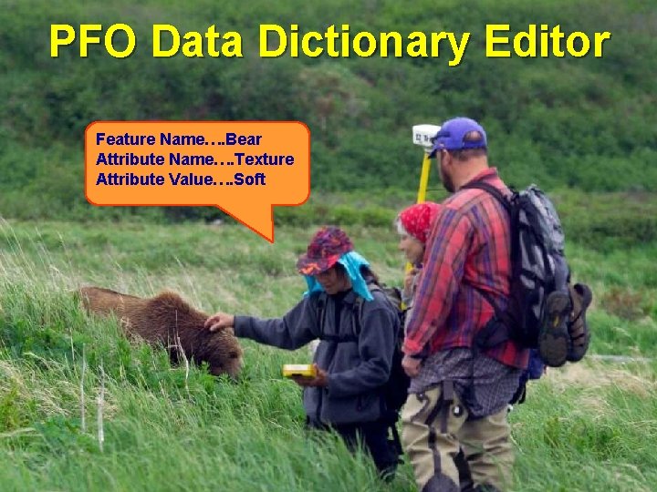 PFO Data Dictionary Editor Feature Name…. Bear Attribute Name…. Texture Attribute Value…. Soft 