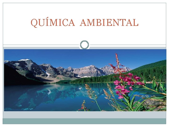 QUÍMICA AMBIENTAL 