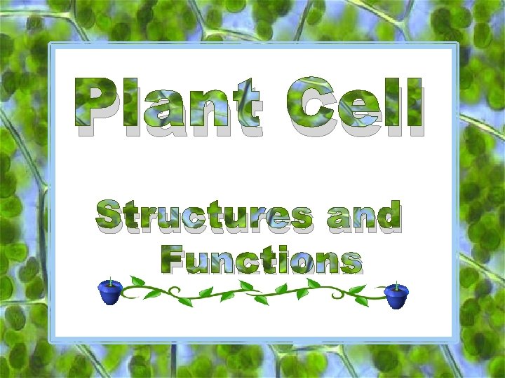 Plant Cell Structures and Functions 