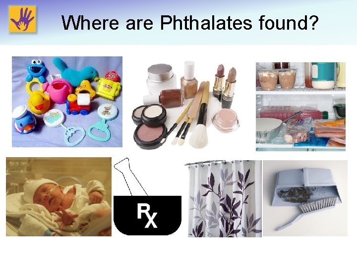 Where are Phthalates found? 
