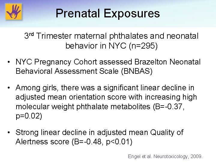 Prenatal Exposures 3 rd Trimester maternal phthalates and neonatal behavior in NYC (n=295) •