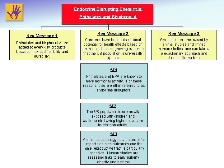 Endocrine Disrupting Chemicals: Phthalates and Bisphenol A Key Message 1 Phthalates and bisphenol A