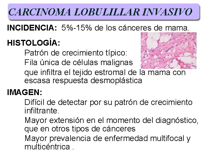 CARCINOMA LOBULILLAR INVASIVO INCIDENCIA: 5%-15% de los cánceres de mama. HISTOLOGÍA: Patrón de crecimiento CARCINOMA LOBULILLAR INVASIVO INCIDENCIA: 5%-15% de los cánceres de mama. HISTOLOGÍA: Patrón de crecimiento