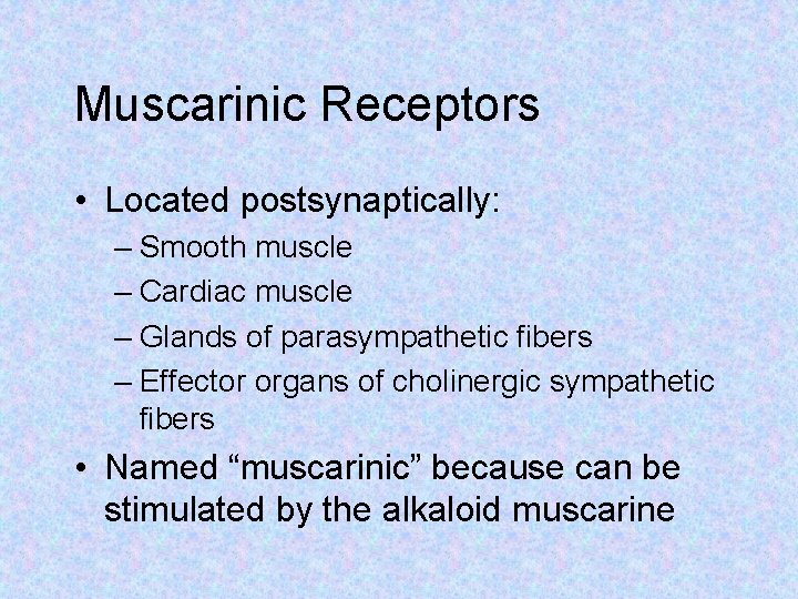 Muscarinic Receptors • Located postsynaptically: – Smooth muscle – Cardiac muscle – Glands of