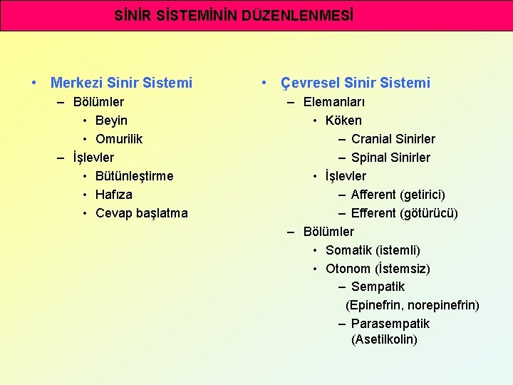 SİNİR SİSTEMİNİN DÜZENLENMESİ • Merkezi Sinir Sistemi – Bölümler • Beyin • Omurilik –