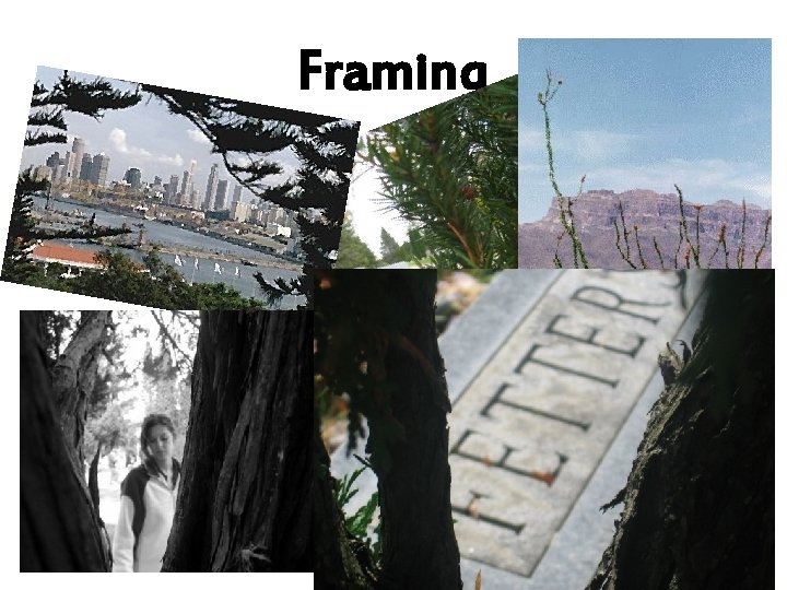 Framing • Used to help highlight the main point of interest of an image.