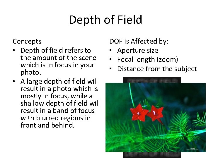 Depth of Field Concepts • Depth of field refers to the amount of the