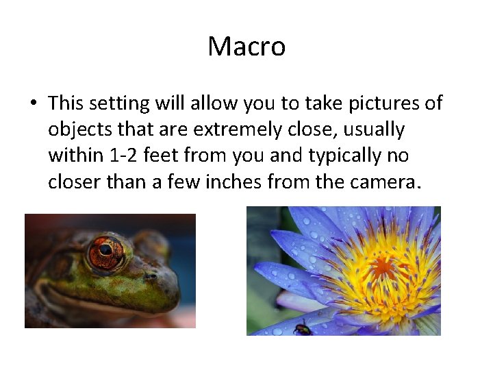 Macro • This setting will allow you to take pictures of objects that are