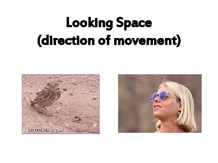 Looking Space (direction of movement) 