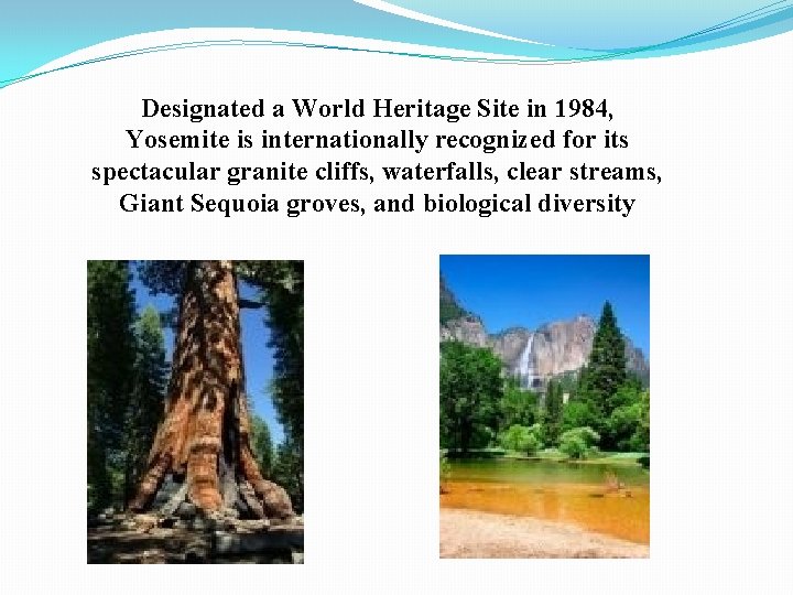 Designated a World Heritage Site in 1984, Yosemite is internationally recognized for its spectacular