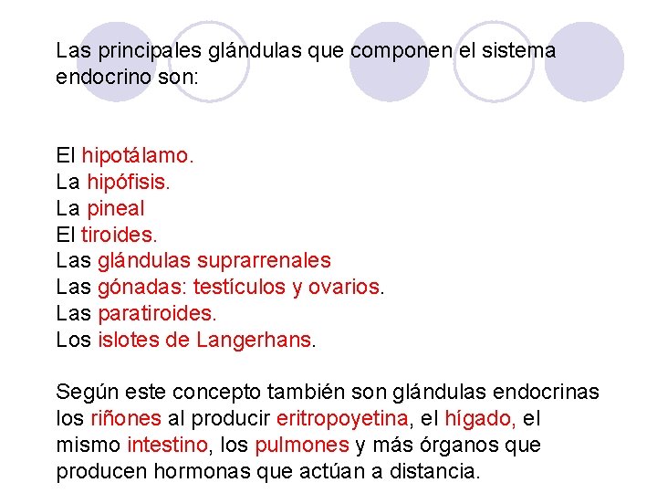 Las principales glándulas que componen el sistema endocrino son: El hipotálamo. La hipófisis. La Las principales glándulas que componen el sistema endocrino son: El hipotálamo. La hipófisis. La