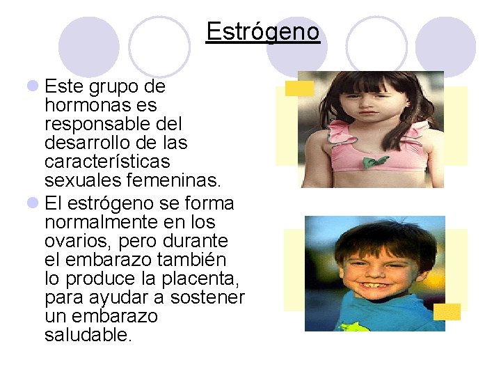 Estrógeno l Este grupo de hormonas es responsable del desarrollo de las características sexuales Estrógeno l Este grupo de hormonas es responsable del desarrollo de las características sexuales