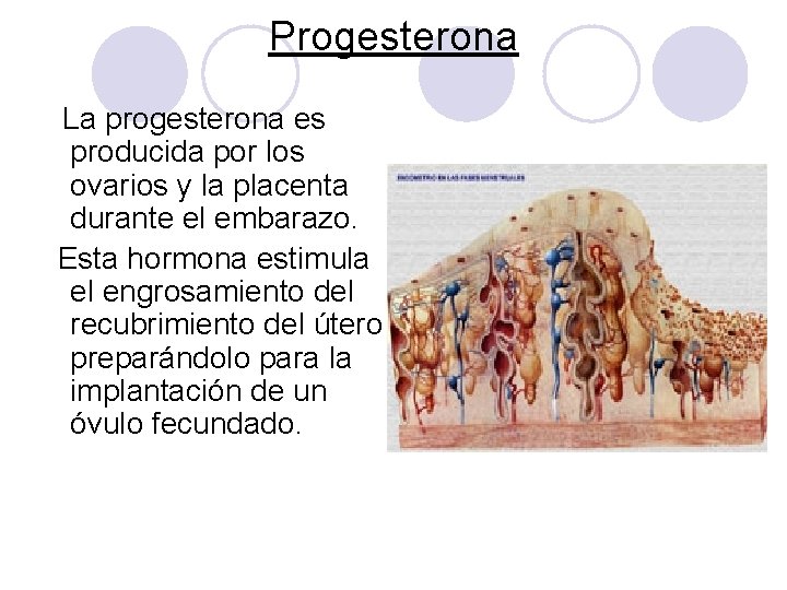 Progesterona La progesterona es producida por los ovarios y la placenta durante el embarazo. Progesterona La progesterona es producida por los ovarios y la placenta durante el embarazo.