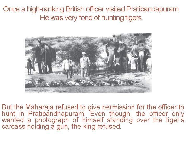 Once a high-ranking British officer visited Pratibandapuram. He was very fond of hunting tigers.