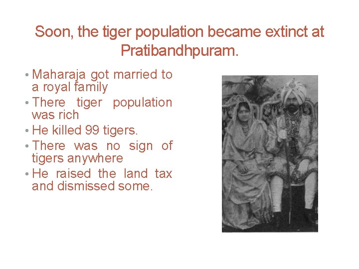 Soon, the tiger population became extinct at Pratibandhpuram. • Maharaja got married to a